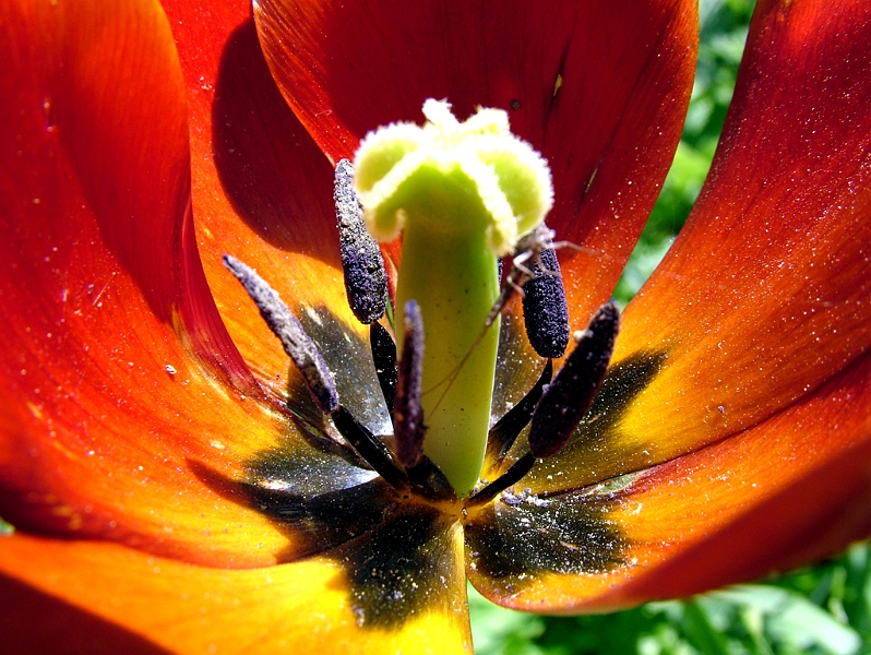 DSCF0372.JPG