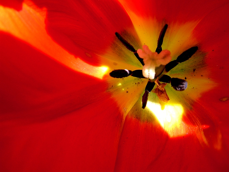 DSCF0374.JPG