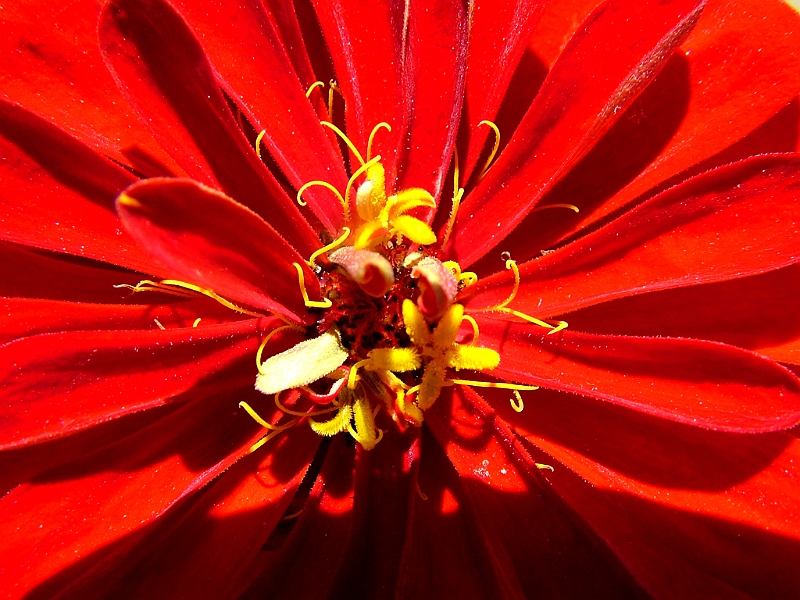 DSCF3464.JPG