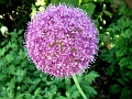 DSCF0014