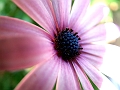 DSCF0028
