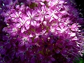 DSCF0038