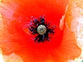 DSCF0045