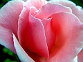 DSCF0047