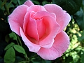 DSCF0048