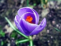 DSCF0120