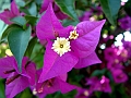 DSCF0132