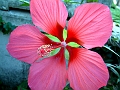 DSCF0156