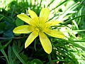 DSCF01581