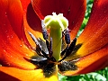 DSCF0372