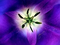 DSCF0373