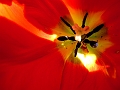 DSCF0374