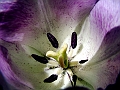 DSCF0377