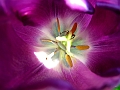 DSCF0381