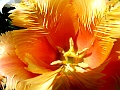 DSCF0388