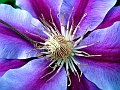 DSCF1971