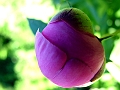 DSCF1978