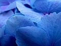 DSCF2036