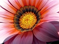 DSCF2038