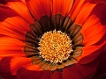DSCF2040