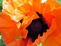 DSCF2058