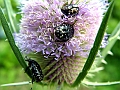 DSCF2246