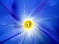 DSCF2754