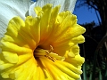 DSCF3123