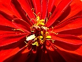 DSCF3464