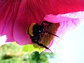 DSCF3469