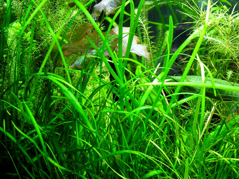 DSCF4952.JPG
