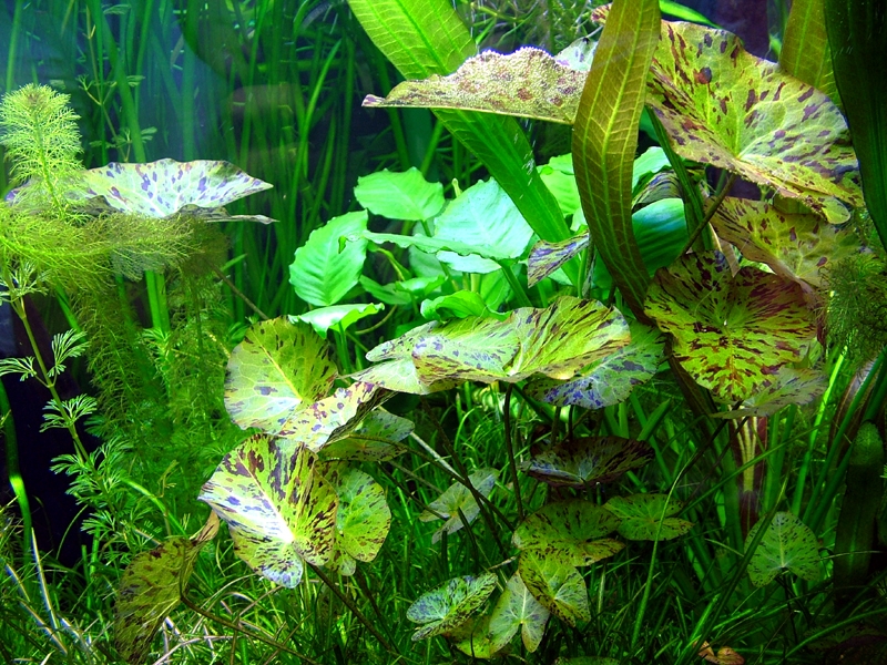 DSCF5615.JPG