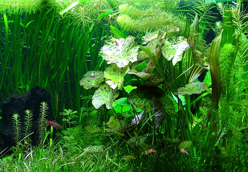 DSCF5649.JPG