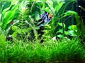 DSCF4653