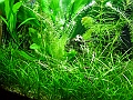 DSCF4685
