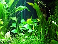 DSCF4697