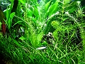 DSCF4698