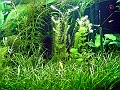 DSCF4760