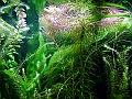 DSCF4761