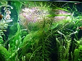 DSCF4763