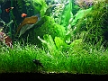 DSCF4789