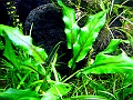 DSCF4848
