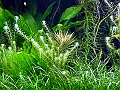 DSCF4852