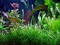DSCF4856
