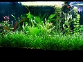 DSCF4858