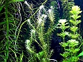DSCF4860