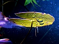 DSCF4869