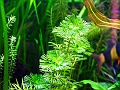 DSCF4918