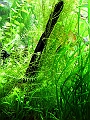 DSCF4945