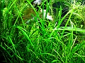 DSCF4952